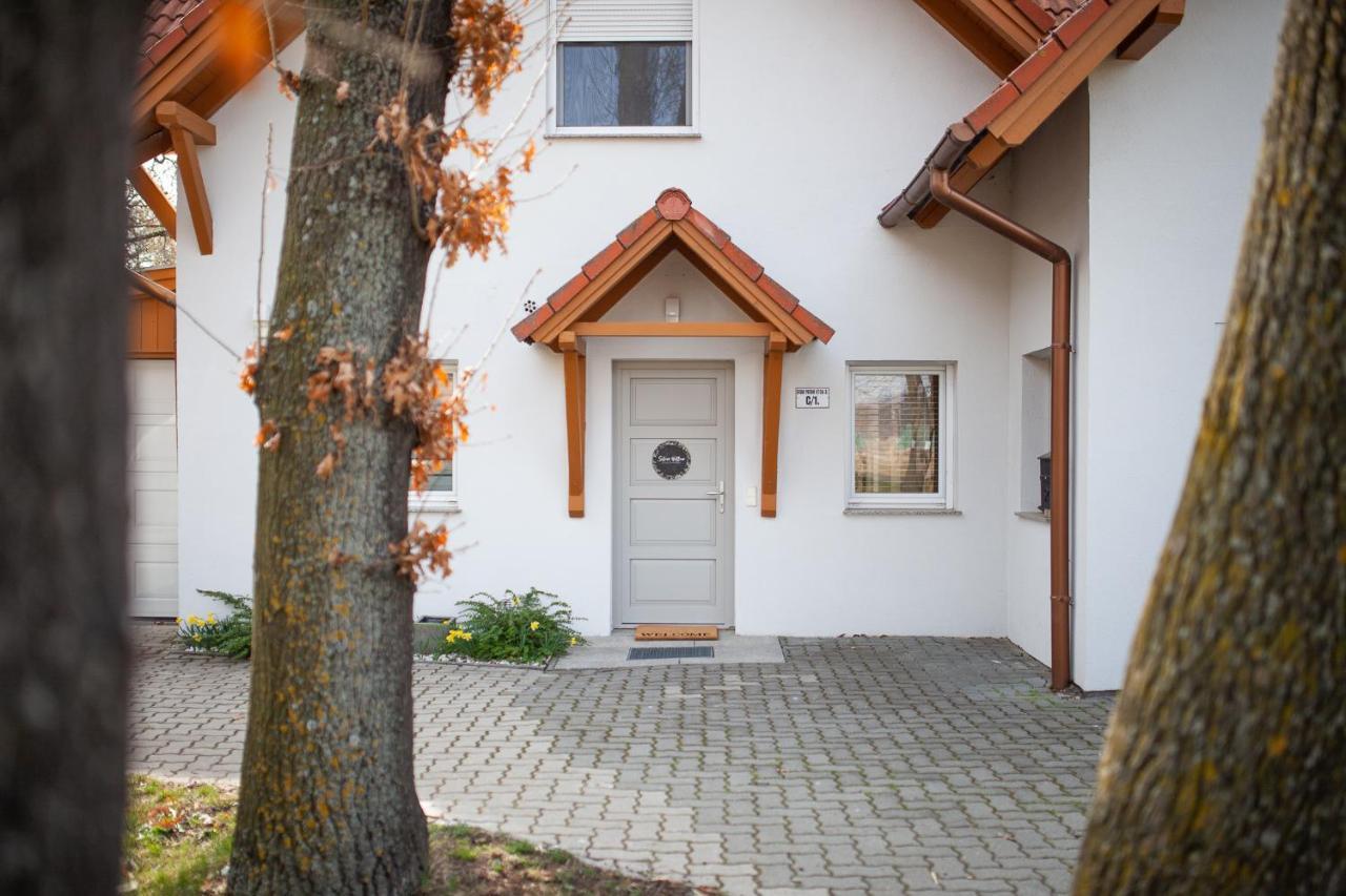Silver Willow Luxury Apartment ショプロン エクステリア 写真